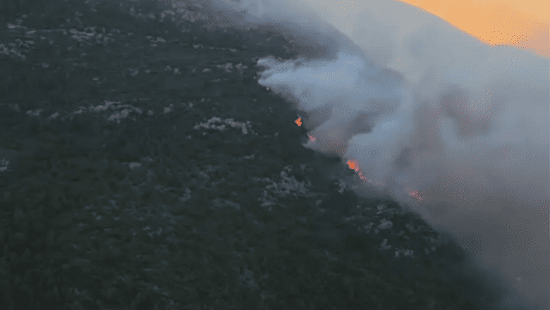 Kaş Orman Yangını