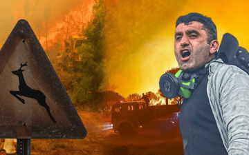 Orman Yangınları