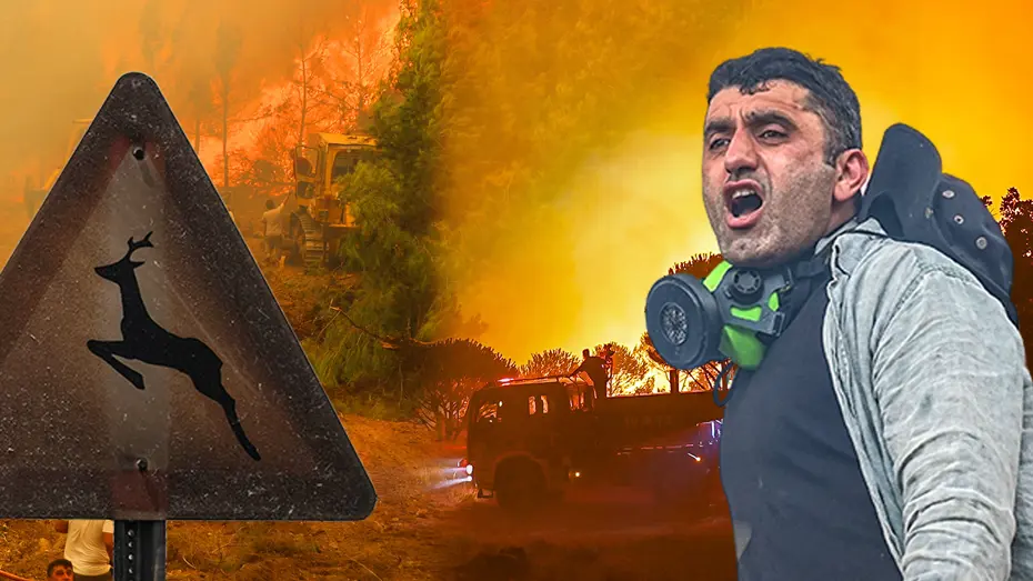 Orman Yangınları