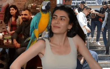 Pınar Damar Cinayeti