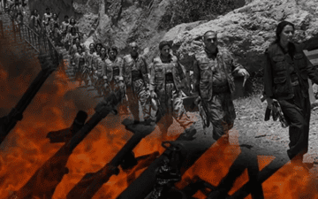Milli Dayanışma Yasa