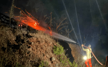 orman yangını